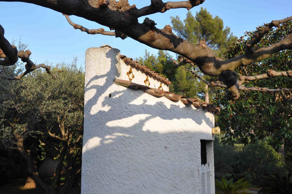 Du Cote De Chez Soi Hotel La Ciotat Buitenkant foto