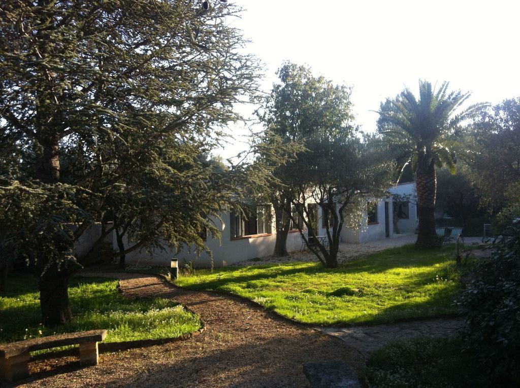 Du Cote De Chez Soi Hotel La Ciotat Kamer foto